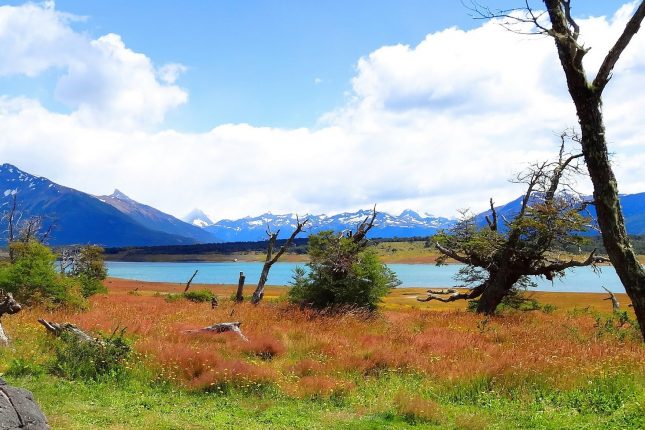 Parque Nacional Tierra Del Fuego  (Ushuaia)