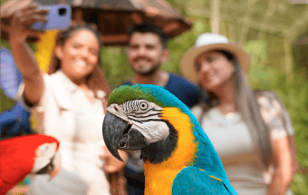 Foz do Iguaçu