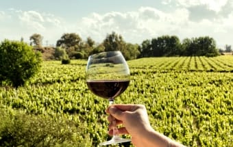 Mendoza Reveillon